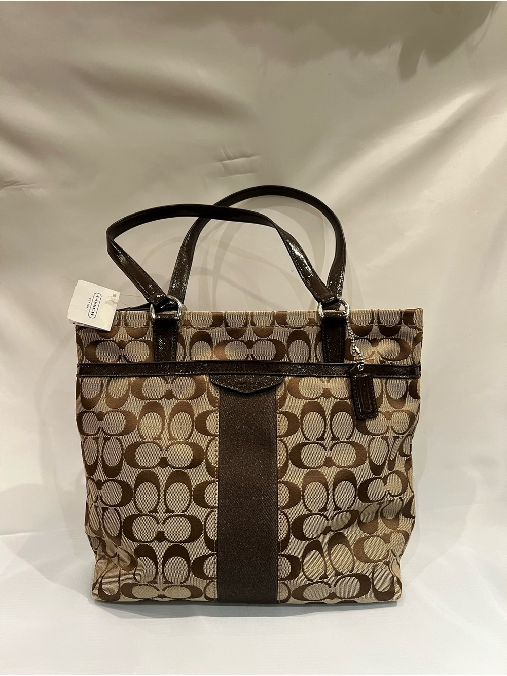 Coach Signature Canvas Tote in Brown
